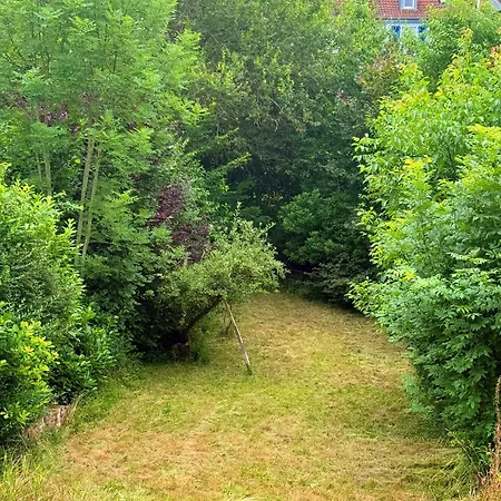 Dreamzzz Haus Naehe Hofgarten L Parkplatz & Garten Coburg